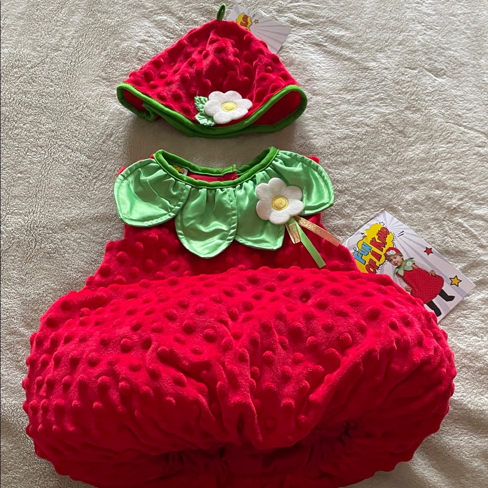 Adorable Strawberry Costume for Kids